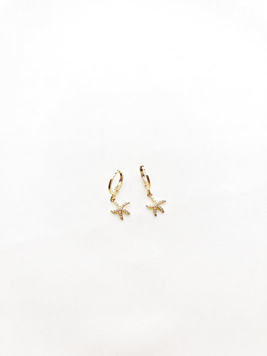 White Sand Stars